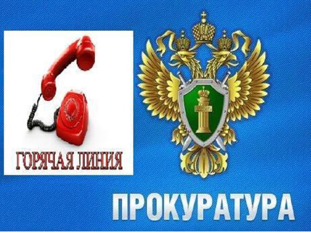 Прокуратурой Сыктывдинского района организована &quot;горячая линия&quot;.