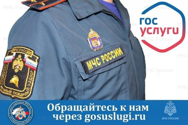 О предоставлении государственных услуг в электронном виде.