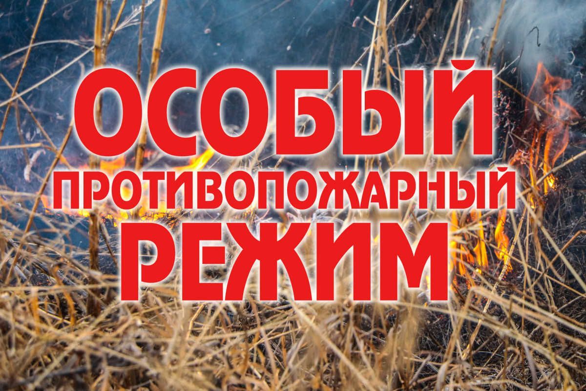 В Республике Коми введен особый противопожарный режим..