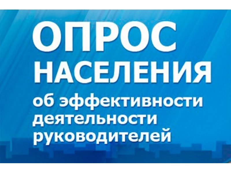 Социологический  опрос.