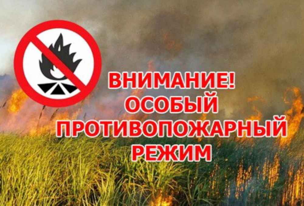 Об  установлении особого  противопожарного режима на территории  сельском  поселении «Слудка» на весеннее – летний период  в 2025 году.