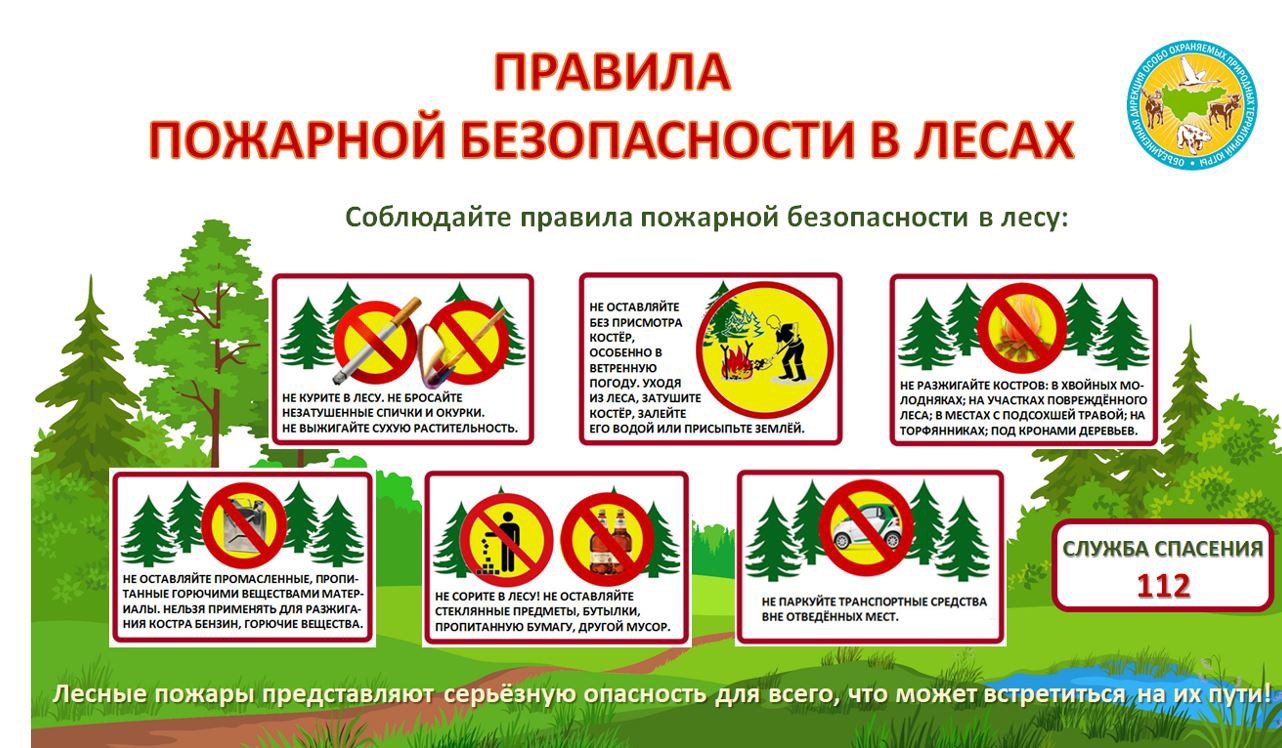 Правила  пожарной безопасности  при нахождении в лесу.