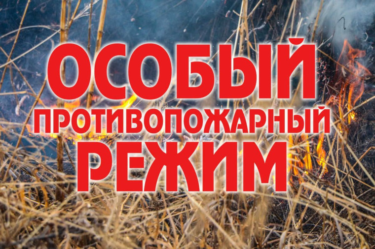 В Республике Коми введен особый противопожарный режим.. В Республике Коми введен особый противопожарный режим..